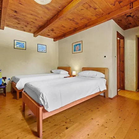 House Edera In Istria For 6 People With Large Garden And Salt - Water Private Pool *