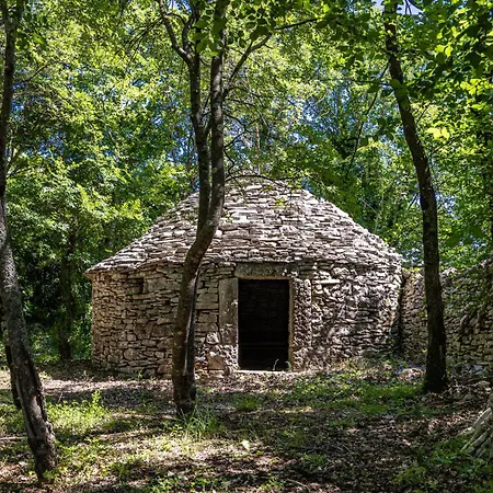 House Edera In Istria For 6 People With Large Garden And Salt - Water Private Pool Juršići